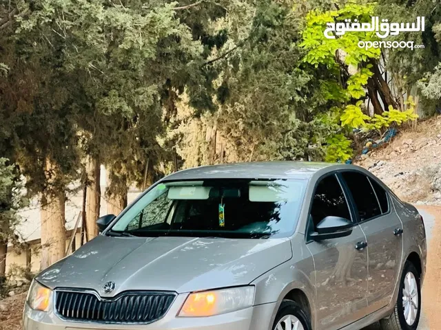 سكودآ اوكتاڨا 2013