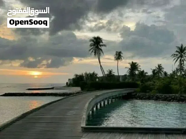 ارض 314 متر خلف شيل القرقني ملك مقدس تبعد على طريق عودة الحياة اقل من كيلو سعر المتر 1300