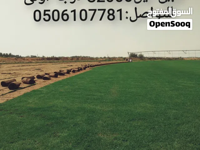 للبيع ثيل C2000 درجة أولى