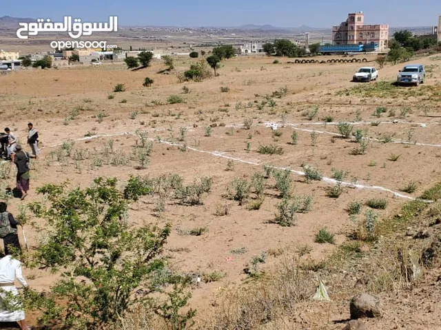 ارض للبيع على الشارع 40تجارية قريبة من الخط العام خط الحديدة صنعاء عرطة العرطات
