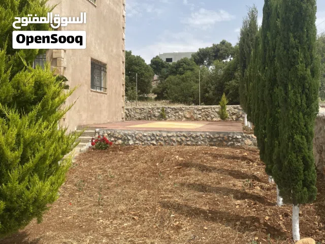 Farm Land for Sale in Ajloun A'anjara