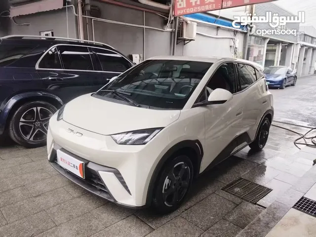 بي واي سيجال 2023 بطاريه كبيره 405 بحال الزيرو