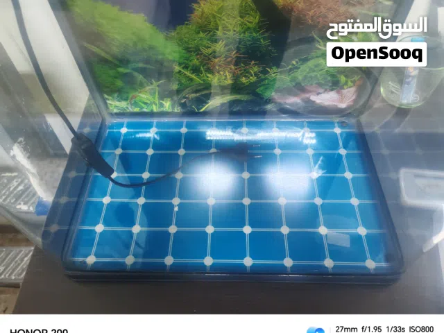 حوض سمك اجنبي للبيع