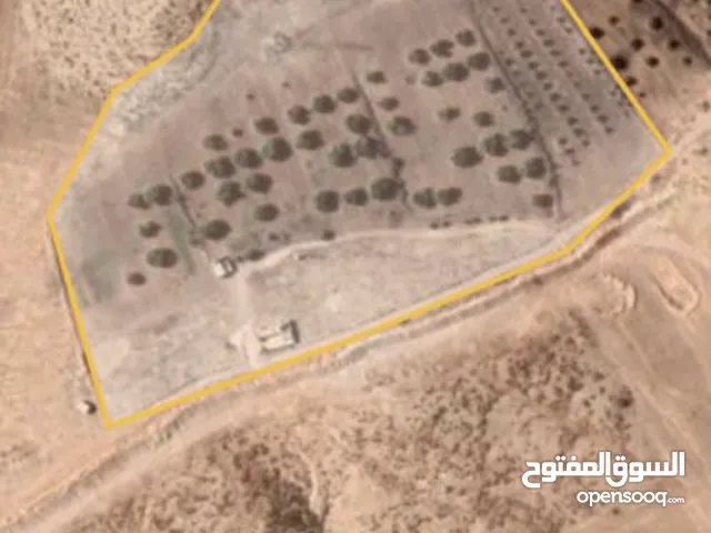 Farm Land for Sale in Zliten Other