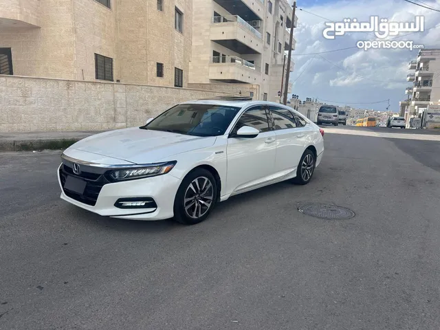 Used Honda Accord in Amman
