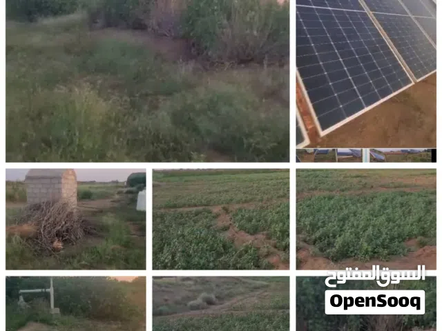 Farm Land for Sale in Al Hudaydah Other