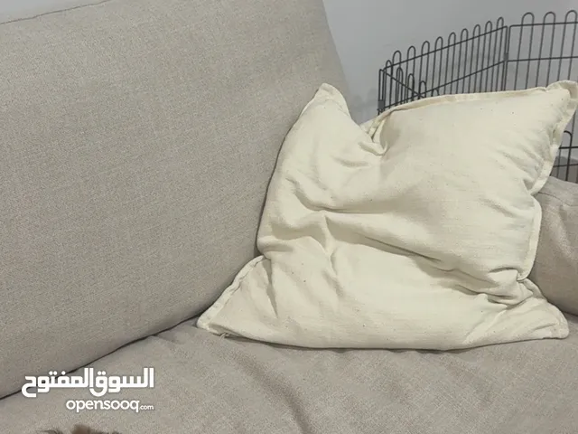 كلب العمر شهرين و مطعم كل تطعيماته