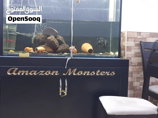 حوض سمك كبير للبيع