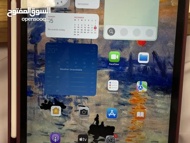 Apple iPad Pro 128 GB in Muscat