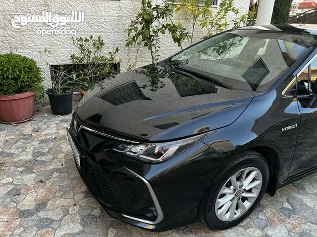Toyota Corolla 2020 in Amman