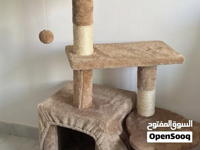 شجرة قطط غير مستعملة للبيع
