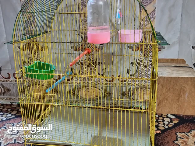 قفص حديد للبيع اقره الوصف