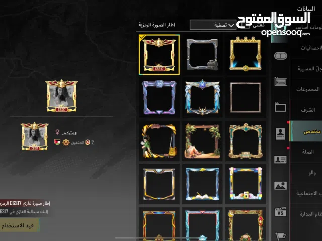 Pubg Accounts and Characters for Sale in Ramtha