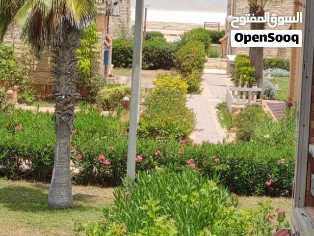 للايجار بالساحل الشمالي قرية مراقية