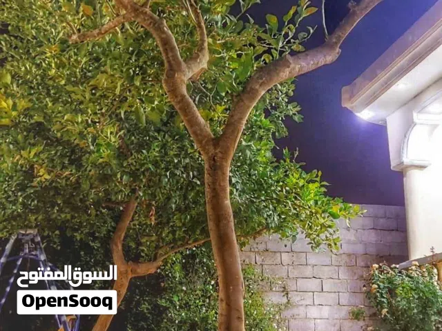 2 Bedrooms Chalet for Rent in Jebel Akhdar Cyrene