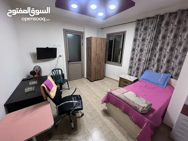 40 m2 Studio Apartments for Rent in Nablus Rafidia