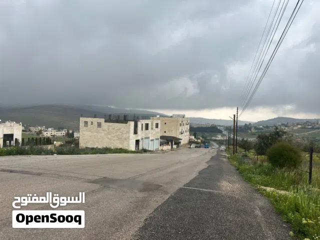 Residential Land for Sale in Amman Shafa Badran