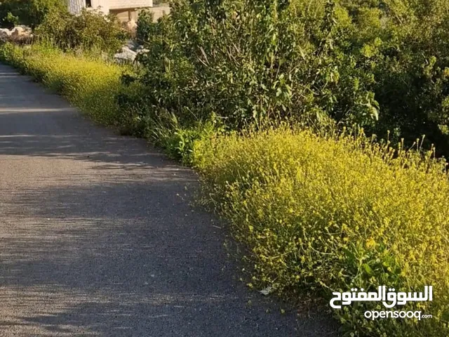 Residential Land for Sale in Ramallah and Al-Bireh Downtown