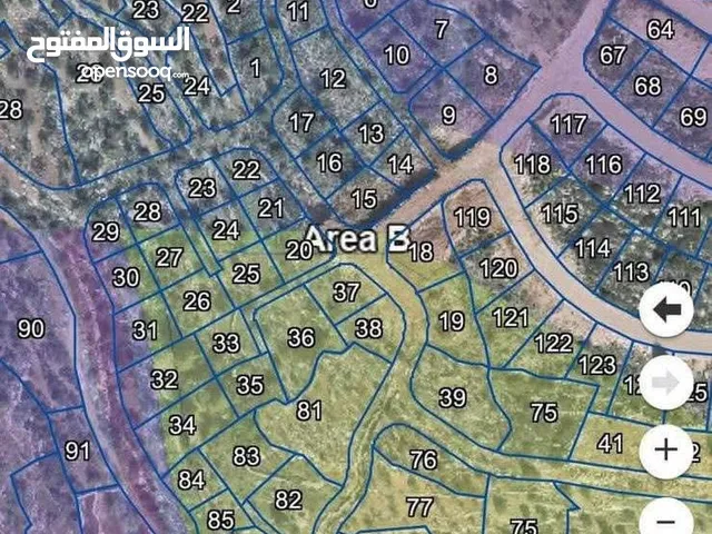 ارض زتون مساحه 520 متر