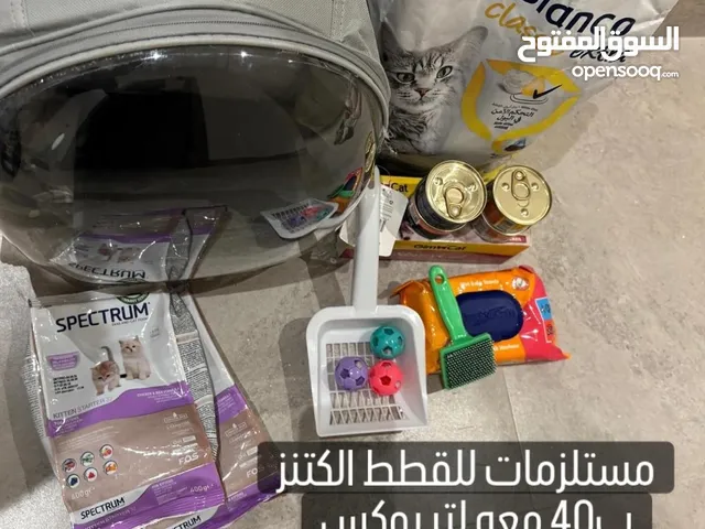 مستلزمات للقطط