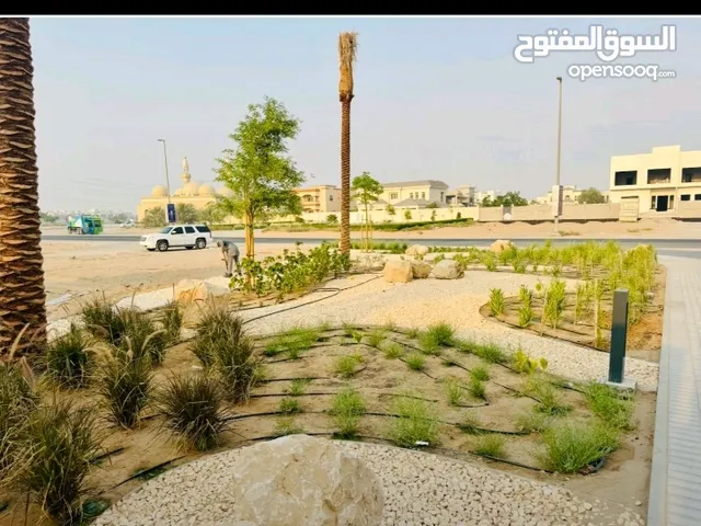 الريان لتصميم الحدائق وشبكات الري وتوريد وتركيب الانترلوك والطابوق جديد و مستعمل