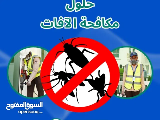 تعاني من الصراصير أو النمل أو الحشرات في بيتك أو مكتبك؟ تخلص منها مع عرض الالماس الازرق