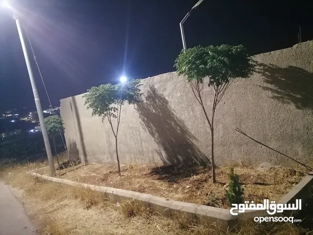 Farm Land for Sale in Zarqa Al-Kamsha