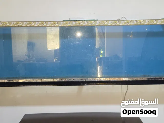 حوض سمك حجم كبير (2 متر) مع قاعدة حديد