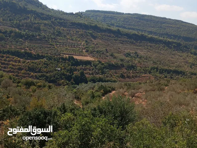 شقة للبيع عالعضم