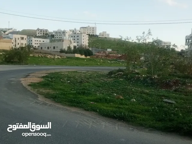 Residential Land for Sale in Amman Marj Al-Furs