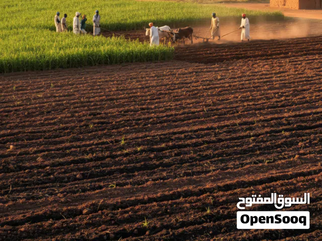 مزرعة للبيع ولايه الجزيره