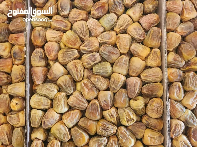 تمر مفتل سكري