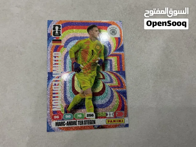 Ter Stegan very rare card limited edition