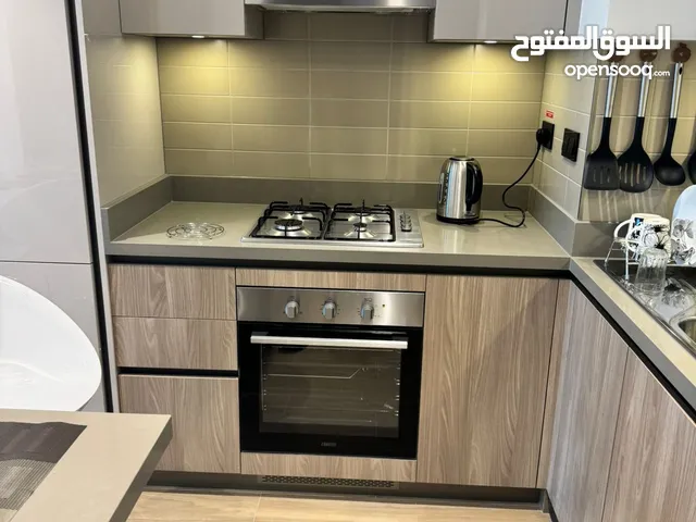 714ft 1 Bedroom Apartments for Rent in Dubai Nadd Al Sheba