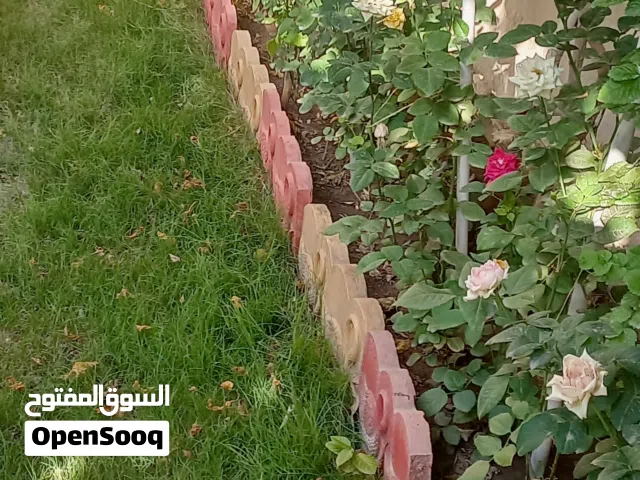 عقارVIB تجاري سكني  جديد للبيع