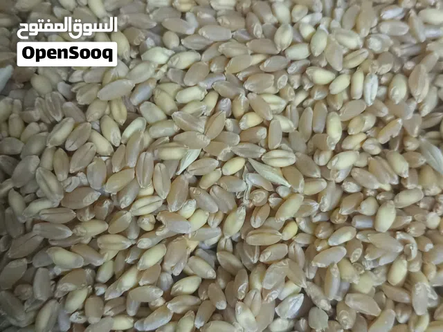 صحتك تبدأ من جودة ما تأكل.