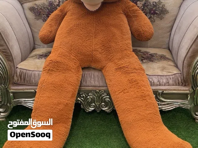 دب حجم الكبير للبيع