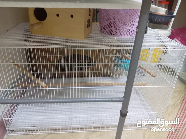 NEW BIRD CAGE AVAILABLE