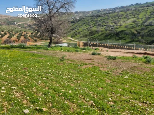 Farm Land for Sale in Zarqa Birayn