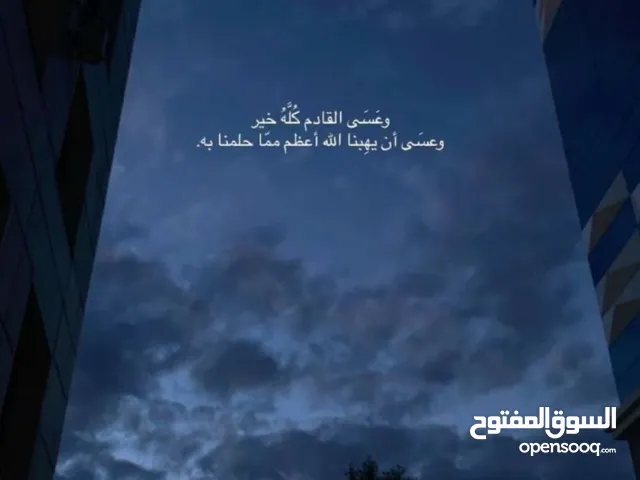 صابرين جمال عبدالله ظاهر