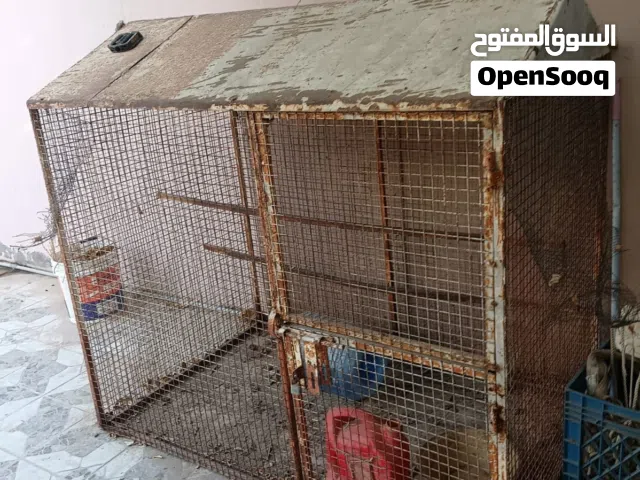 للبيع قفص تابع الوصف