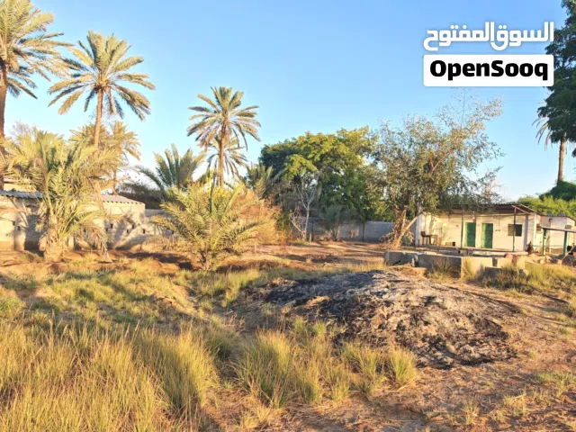 ارض زراعية سكنية للبيع في صحم/ المعقلة بسعر رائع