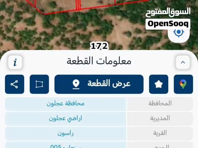 ارض للبيع زراعيه مزرووعه زيتون ولوزيات