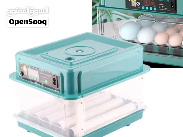 حضانات 10 و15 البيضة