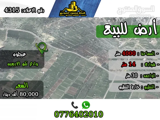 رقم الاعلان (4315) ارض استثمارية للبيع في منطقة عجلون