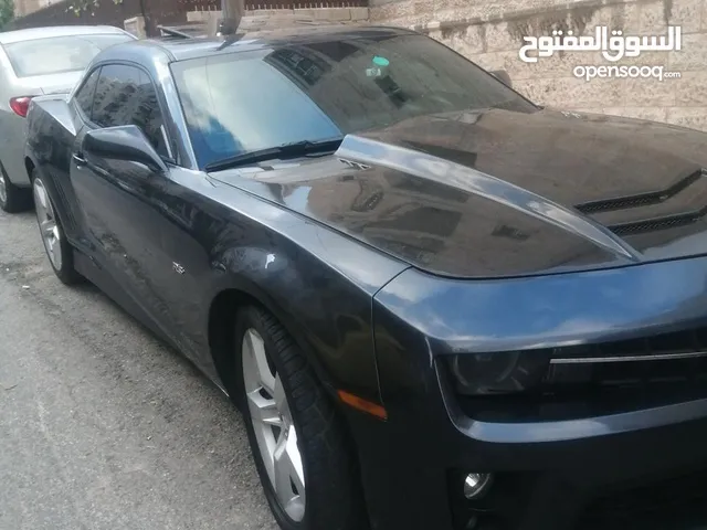 Used Chevrolet Camaro in Amman