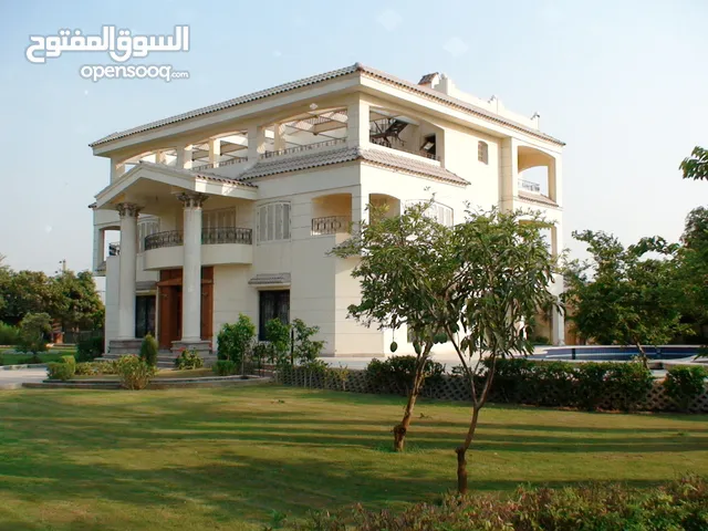 5000 m2 More than 6 bedrooms Villa for Sale in Sharjah Abu shagara