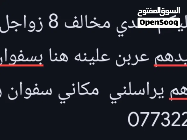 السلام عليكم عندي مخالف 8 زواجل كويتيه صيد صايدهم عربن علينه هنا بسفوان اني الي يريدهم يراسلني مكان