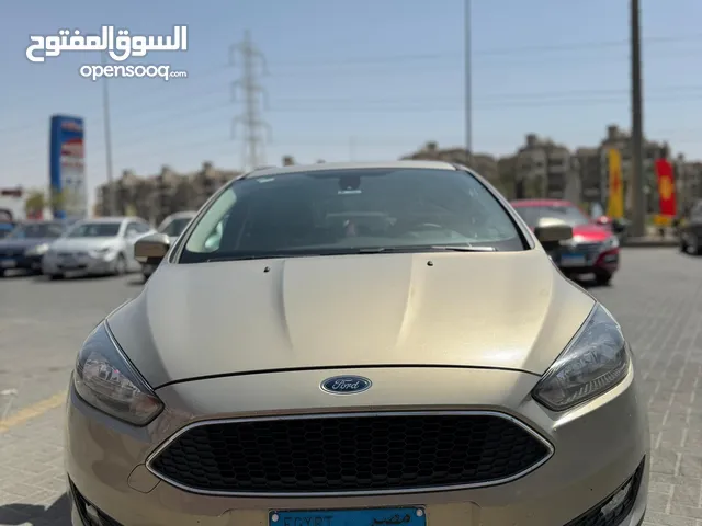 Used Ford Focus in Alexandria