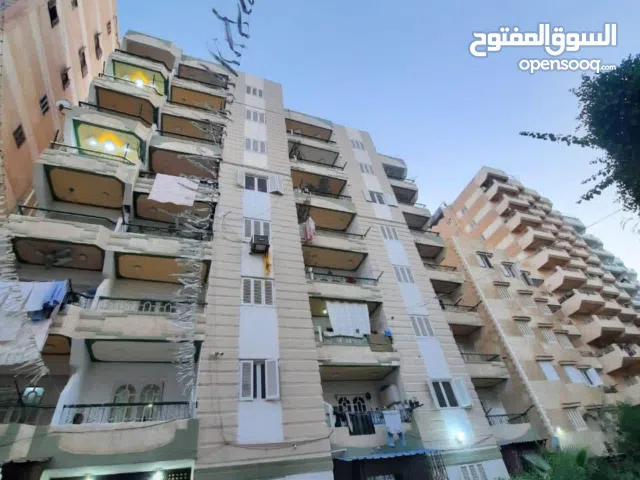 100 m2 3 Bedrooms Apartments for Sale in Alexandria Nakheel